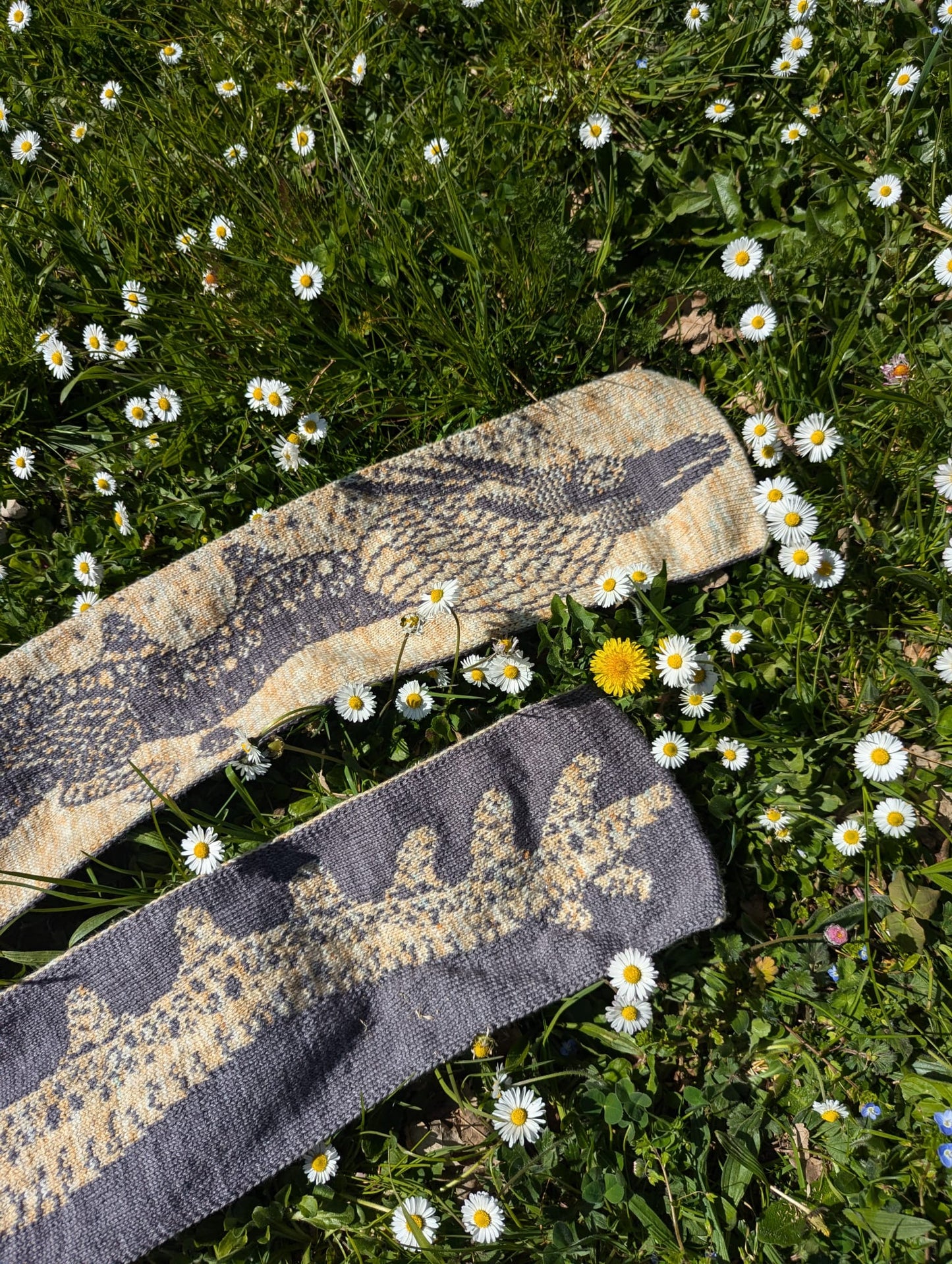 Dragon Scarf Knitting Pattern
